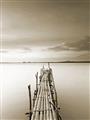 Picture of Bamboo Dock  _GroupedProduct_Rectangle_Portrait_Photography _GroupedProduct_Rectangle_Portrait_Unframed_Print_Only_