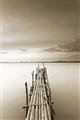 Picture of Bamboo Dock  _GroupedProduct_Rectangle_Portrait_Photography _GroupedProduct_Rectangle_Portrait_Unframed_Print_Only_