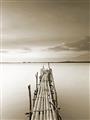 Picture of Bamboo Dock  _GroupedProduct_Rectangle_Portrait_Photography _GroupedProduct_Rectangle_Portrait_Unframed_Print_Only_