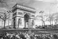 Picture of Arc de Triomphe _GroupedProduct_Rectangle_Landscape_Photography _GroupedProduct_Rectangle_Landscape_Unframed_Print_Only_