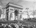 Picture of Arc de Triomphe _GroupedProduct_Rectangle_Landscape_Photography _GroupedProduct_Rectangle_Landscape_Unframed_Print_Only_