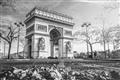 Picture of Arc de Triomphe _GroupedProduct_Rectangle_Landscape_Photography _GroupedProduct_Rectangle_Landscape_Unframed_Print_Only_