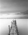 Picture of Bamboo Dock  _GroupedProduct_Rectangle_Portrait_Photography _GroupedProduct_Rectangle_Portrait_Unframed_Print_Only_