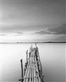 Picture of Bamboo Dock  _GroupedProduct_Rectangle_Portrait_Photography _GroupedProduct_Rectangle_Portrait_Unframed_Print_Only_