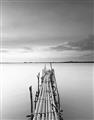 Picture of Bamboo Dock  _GroupedProduct_Rectangle_Portrait_Photography _GroupedProduct_Rectangle_Portrait_Unframed_Print_Only_