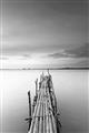 Picture of Bamboo Dock  _GroupedProduct_Rectangle_Portrait_Photography _GroupedProduct_Rectangle_Portrait_Unframed_Print_Only_