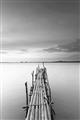 Picture of Bamboo Dock  _GroupedProduct_Rectangle_Portrait_Photography _GroupedProduct_Rectangle_Portrait_Unframed_Print_Only_