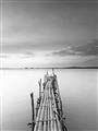 Picture of Bamboo Dock  _GroupedProduct_Rectangle_Portrait_Photography _GroupedProduct_Rectangle_Portrait_Unframed_Print_Only_