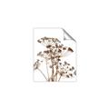 Picture of Angelica Plant _GroupedProduct_Rectangle_Portrait_Unframed_Print_Only_