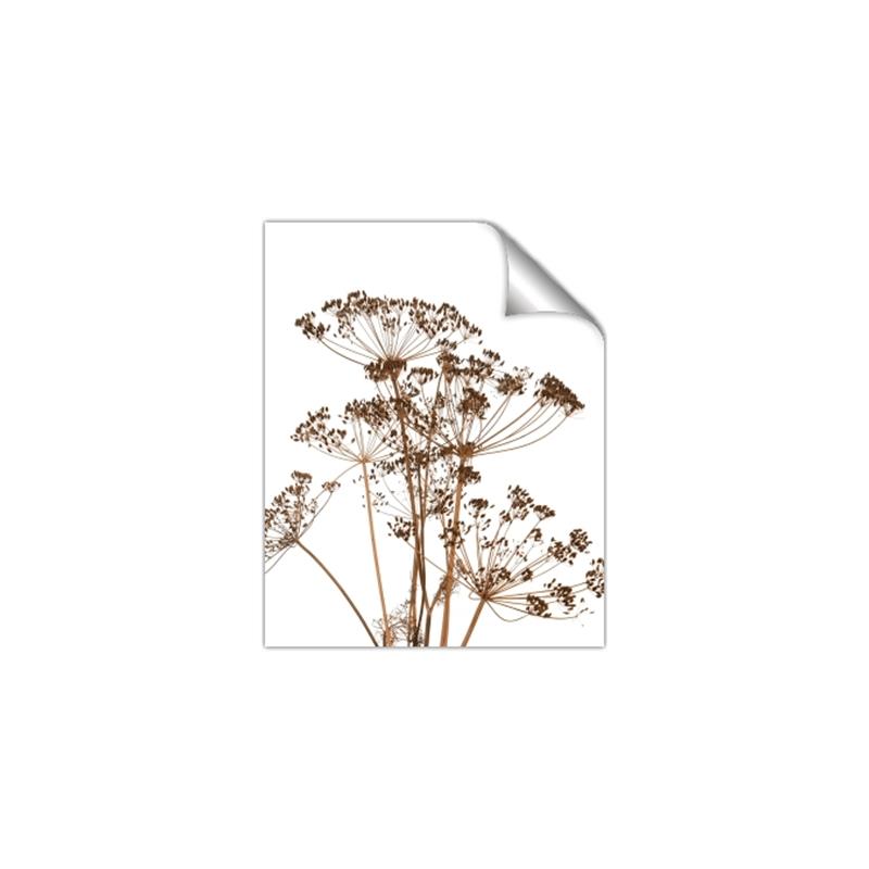 Picture of Angelica Plant _GroupedProduct_Rectangle_Portrait_Unframed_Print_Only_