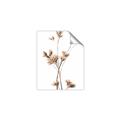 Picture of Aster Flower  _GroupedProduct_Rectangle_Portrait_Photography _GroupedProduct_Rectangle_Portrait_Unframed_Print_Only_