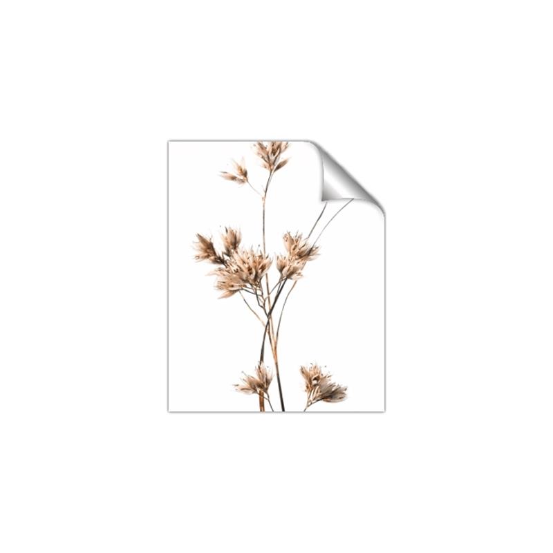 Picture of Aster Flower  _GroupedProduct_Rectangle_Portrait_Photography _GroupedProduct_Rectangle_Portrait_Unframed_Print_Only_