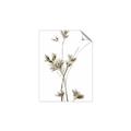 Picture of Aster Flower  _GroupedProduct_Rectangle_Portrait_Photography _GroupedProduct_Rectangle_Portrait_Unframed_Print_Only_