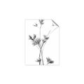 Picture of Aster Flower  _GroupedProduct_Rectangle_Portrait_Photography _GroupedProduct_Rectangle_Portrait_Unframed_Print_Only_