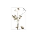 Picture of Aster Flower  _GroupedProduct_Rectangle_Portrait_Photography _GroupedProduct_Rectangle_Portrait_Unframed_Print_Only_