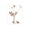 Picture of Aster Flower  _GroupedProduct_Rectangle_Portrait_Photography _GroupedProduct_Rectangle_Portrait_Unframed_Print_Only_