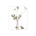 Picture of Aster Flower  _GroupedProduct_Rectangle_Portrait_Photography _GroupedProduct_Rectangle_Portrait_Unframed_Print_Only_