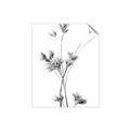 Picture of Aster Flower  _GroupedProduct_Rectangle_Portrait_Photography _GroupedProduct_Rectangle_Portrait_Unframed_Print_Only_