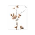 Picture of Aster Flower  _GroupedProduct_Rectangle_Portrait_Photography _GroupedProduct_Rectangle_Portrait_Unframed_Print_Only_