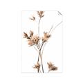 Picture of Aster Flower  _GroupedProduct_Rectangle_Portrait_Photography _GroupedProduct_Rectangle_Portrait_Unframed_Print_Only_