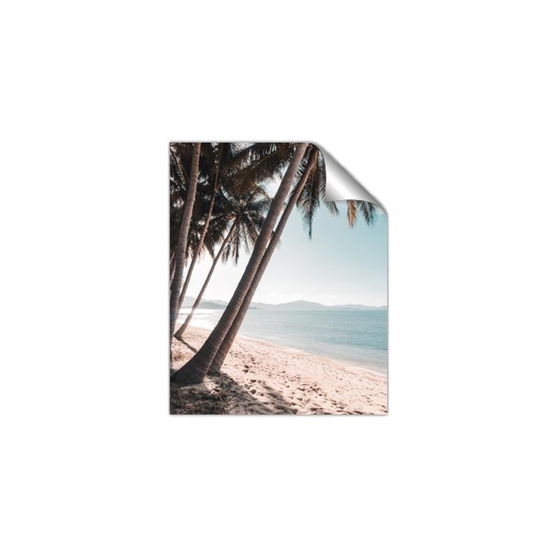 Picture of Beach Palms  _GroupedProduct_Rectangle_Portrait_Photography _GroupedProduct_Rectangle_Portrait_Unframed_Print_Only_