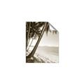 Picture of Beach Palms  _GroupedProduct_Rectangle_Portrait_Photography _GroupedProduct_Rectangle_Portrait_Unframed_Print_Only_