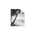 Picture of Beach Palms  _GroupedProduct_Rectangle_Portrait_Photography _GroupedProduct_Rectangle_Portrait_Unframed_Print_Only_