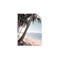 Picture of Beach Palms  _GroupedProduct_Rectangle_Portrait_Photography _GroupedProduct_Rectangle_Portrait_Unframed_Print_Only_