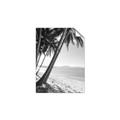 Picture of Beach Palms  _GroupedProduct_Rectangle_Portrait_Photography _GroupedProduct_Rectangle_Portrait_Unframed_Print_Only_