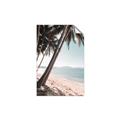Picture of Beach Palms  _GroupedProduct_Rectangle_Portrait_Photography _GroupedProduct_Rectangle_Portrait_Unframed_Print_Only_
