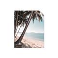 Picture of Beach Palms  _GroupedProduct_Rectangle_Portrait_Photography _GroupedProduct_Rectangle_Portrait_Unframed_Print_Only_
