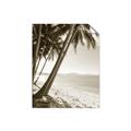 Picture of Beach Palms  _GroupedProduct_Rectangle_Portrait_Photography _GroupedProduct_Rectangle_Portrait_Unframed_Print_Only_