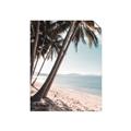 Picture of Beach Palms  _GroupedProduct_Rectangle_Portrait_Photography _GroupedProduct_Rectangle_Portrait_Unframed_Print_Only_