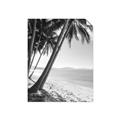 Picture of Beach Palms  _GroupedProduct_Rectangle_Portrait_Photography _GroupedProduct_Rectangle_Portrait_Unframed_Print_Only_