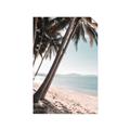 Picture of Beach Palms  _GroupedProduct_Rectangle_Portrait_Photography _GroupedProduct_Rectangle_Portrait_Unframed_Print_Only_