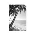 Picture of Beach Palms  _GroupedProduct_Rectangle_Portrait_Photography _GroupedProduct_Rectangle_Portrait_Unframed_Print_Only_