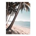 Picture of Beach Palms  _GroupedProduct_Rectangle_Portrait_Photography _GroupedProduct_Rectangle_Portrait_Unframed_Print_Only_