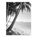 Picture of Beach Palms  _GroupedProduct_Rectangle_Portrait_Photography _GroupedProduct_Rectangle_Portrait_Unframed_Print_Only_