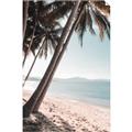 Picture of Beach Palms  _GroupedProduct_Rectangle_Portrait_Photography _GroupedProduct_Rectangle_Portrait_Unframed_Print_Only_