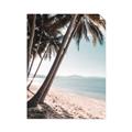 Picture of Beach Palms  _GroupedProduct_Rectangle_Portrait_Photography _GroupedProduct_Rectangle_Portrait_Unframed_Print_Only_