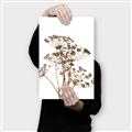 Picture of Angelica Plant _GroupedProduct_Rectangle_Portrait_Canvas_