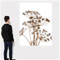 Picture of Angelica Plant _GroupedProduct_Rectangle_Portrait_Canvas_