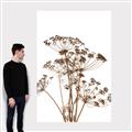 Picture of Angelica Plant _GroupedProduct_Rectangle_Portrait_Canvas_