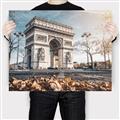 Picture of Arc de Triomphe _GroupedProduct_Rectangle_Landscape_Photography _GroupedProduct_Rectangle_Landscape_Canvas_