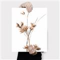 Picture of Aster Flower  _GroupedProduct_Rectangle_Portrait_Photography _GroupedProduct_Rectangle_Portrait_Canvas_