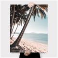 Picture of Beach Palms  _GroupedProduct_Rectangle_Portrait_Photography _GroupedProduct_Rectangle_Portrait_Canvas_