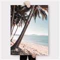 Picture of Beach Palms  _GroupedProduct_Rectangle_Portrait_Photography _GroupedProduct_Rectangle_Portrait_Canvas_