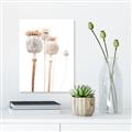 Picture of About to Bloom  _GroupedProduct_Rectangle_Portrait_Photography _GroupedProduct_Rectangle_Portrait_Canvas_