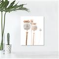Picture of About to Bloom  _GroupedProduct_Rectangle_Portrait_Photography _GroupedProduct_Rectangle_Portrait_Canvas_