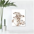 Picture of Angelica Plant _GroupedProduct_Rectangle_Portrait_Canvas_